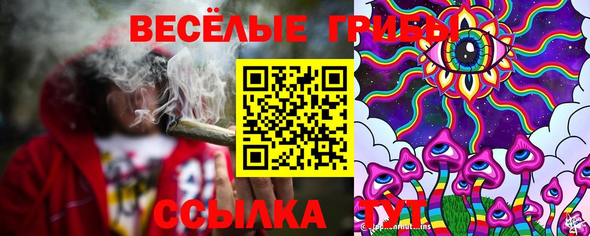 Галлюциногенные грибы мухоморы  Вход с VPN  что такое наркотик  Алексеевка  Псилоцибиновые грибы Psilocybe 